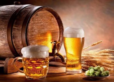 虎皮兰可以浇啤酒水吗 兑了水的啤酒怎么养虎皮兰侧芽爆满盆