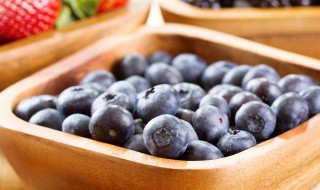 蓝莓怎么种植方法和养护 蓝莓种植和养护的方法