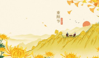 重阳节送什么 重阳节送哪些礼物