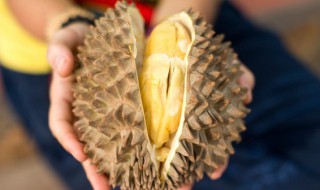 榴莲死包是什么意思 榴莲死包指的是什么