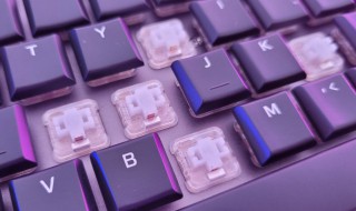 机械键盘相关知识 机械键盘的介绍