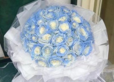 碎冰蓝花语 碎冰蓝的花语是什么意思