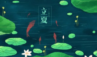 立夏应该吃什么好 立夏应该吃的食物