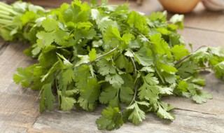 牛肉和香菜能一起吃吗 牛肉和香菜可不可以一起吃