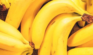 香蕉饼怎么长期保存 香蕉饼如何长期保存