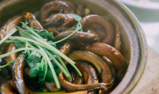 吃鳝鱼禁忌 鳝鱼有哪些食用禁忌