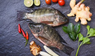 有什么办法保鲜鱼 鱼怎么保鲜