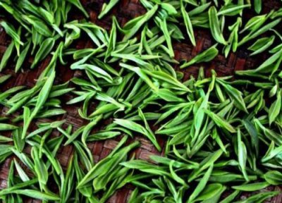 四季春属于什么茶 四季春的功效与作用