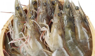 新鲜海虾存放方法 新鲜海虾如何存放更好