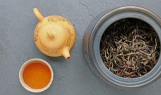 金芽茶怎么泡 泡金芽茶的方法