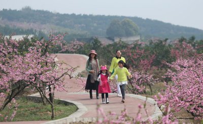 眉山属于成都市的吗 四川省眉山市是苏东坡的故乡