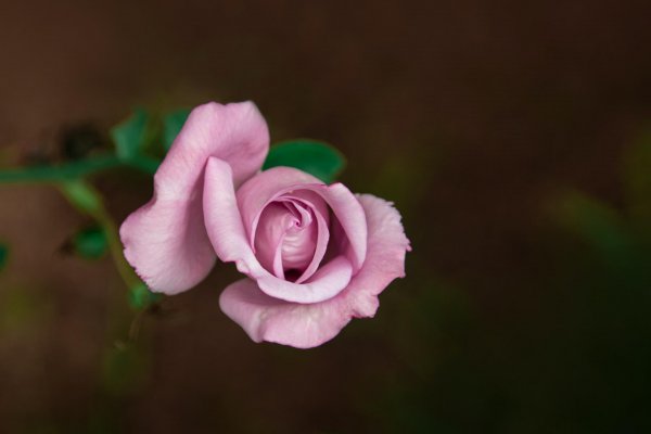 一别两宽各生欢喜是什么意思