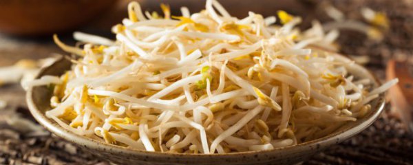 羊肉和绿豆芽能一起吃吗