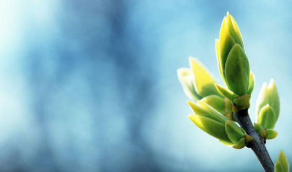 天秤座才是万王之王