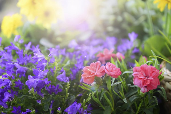 天秤座才是万王之王