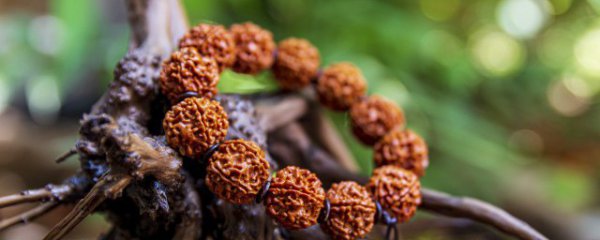 手串橄榄雕刻保养方法