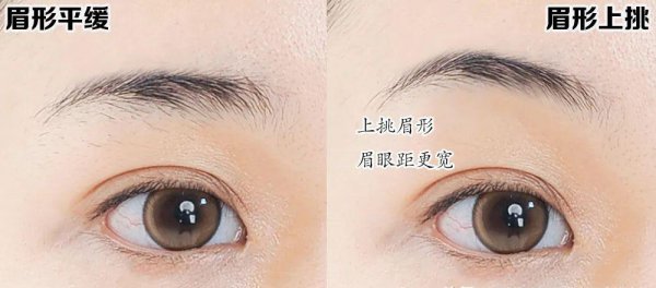 如何修眉具体步骤和图解