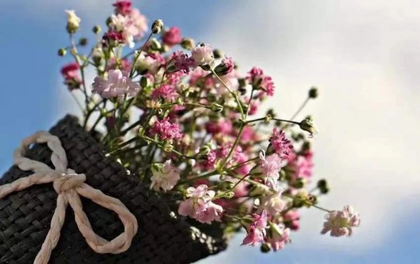 丈夫不回家也不离婚表明什么意思