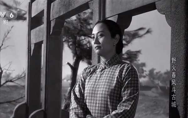 演员王晓棠个人简介资料