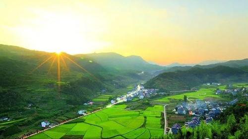 什么是乡村振兴的基础