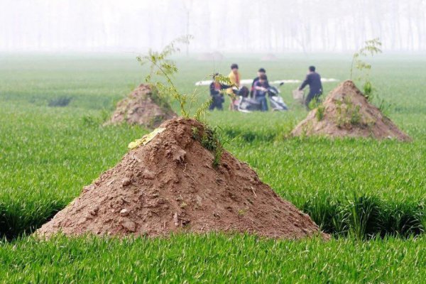 立碑选什么日子最好