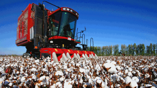 双河市在新疆哪里