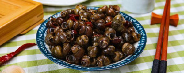 吃石螺的好处和坏处