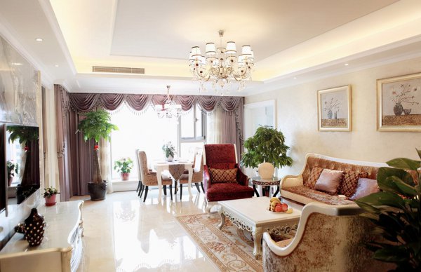 十大客厅风水植物