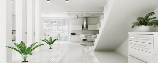 中宫放什么旺风水