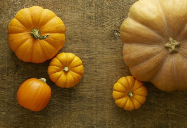 纤维素高的食物排行榜