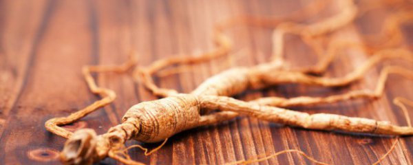 人参春天可以吃吗