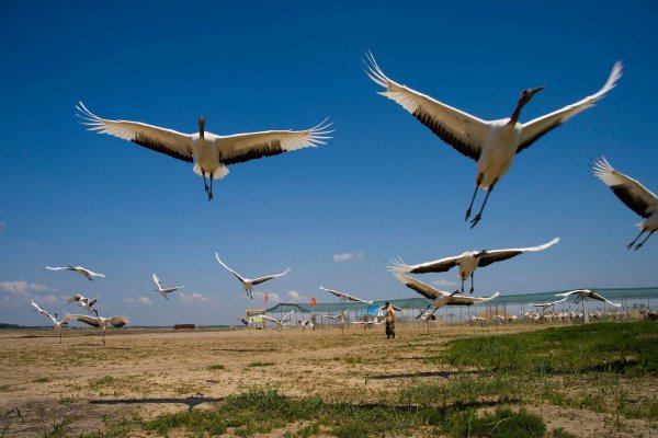 齐齐哈尔属于几线城市