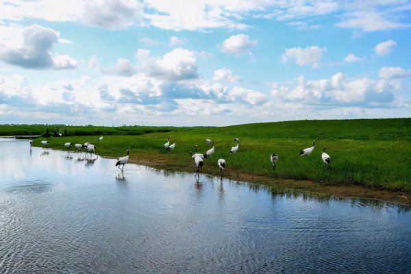 齐齐哈尔属于几线城市