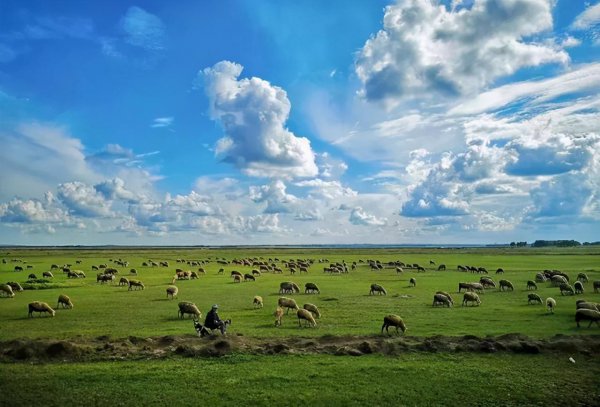 齐齐哈尔属于几线城市