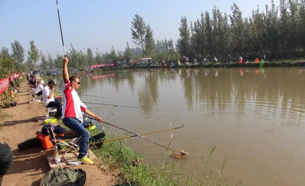 钓鱼线大小型号怎么选