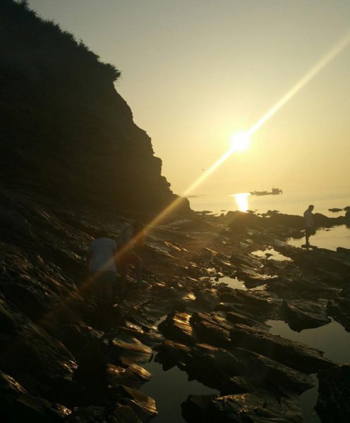 马鲛鱼是鲅鱼吗