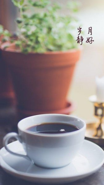 岁月静好的真正含义