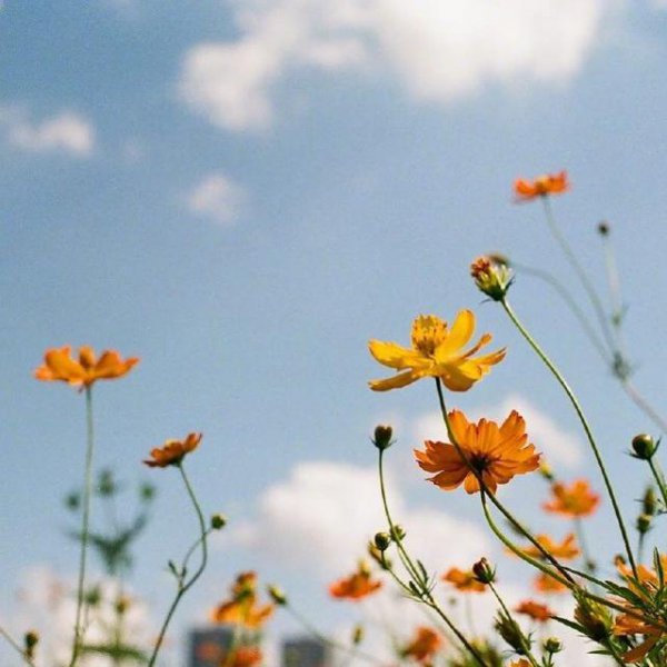 珍惜时间的唯美句子