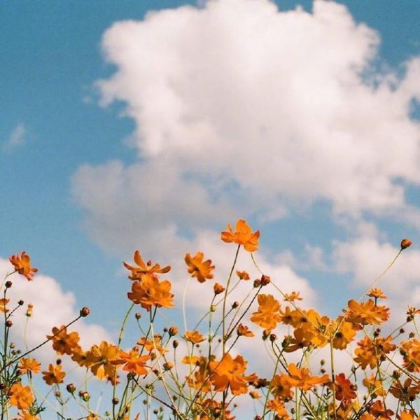 珍惜时间的唯美句子