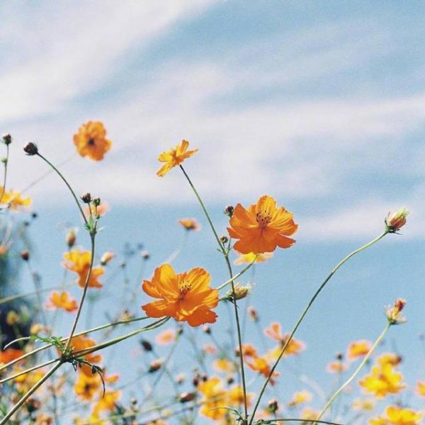 珍惜时间的唯美句子