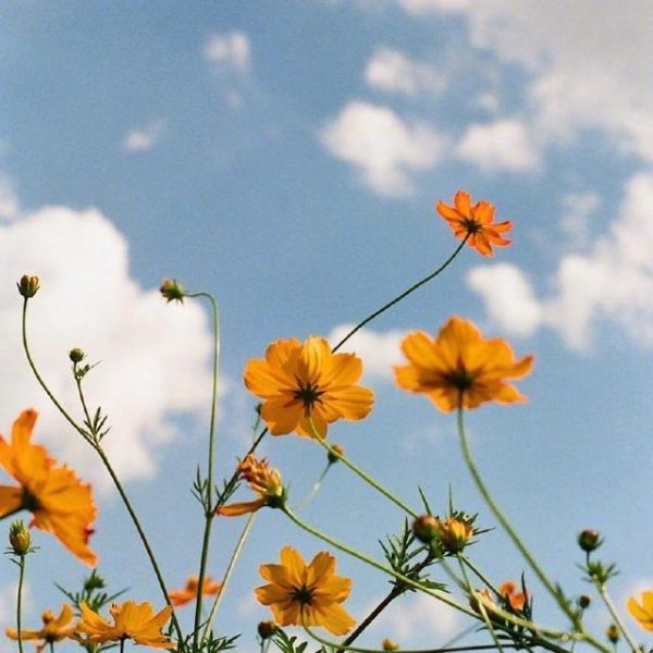 珍惜时间的唯美句子