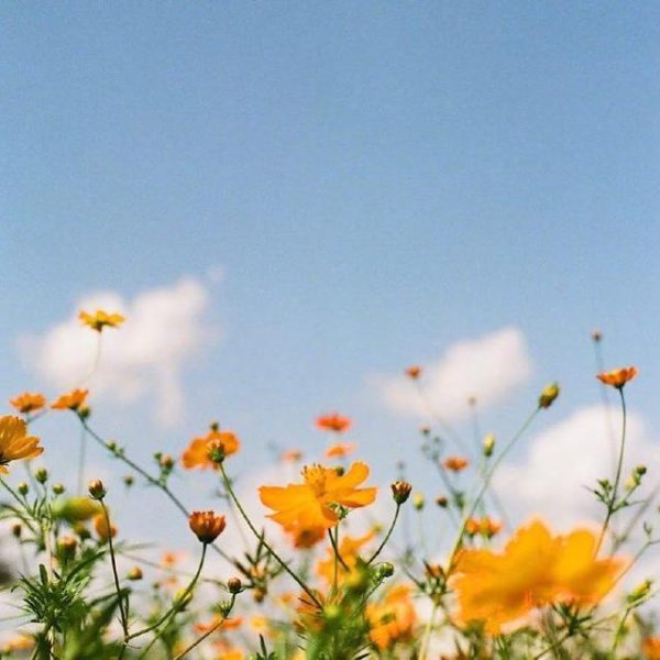 珍惜时间的唯美句子