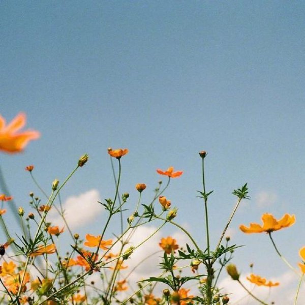 珍惜时间的唯美句子