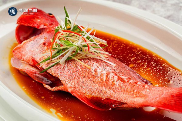 东星斑是淡水还是海鱼