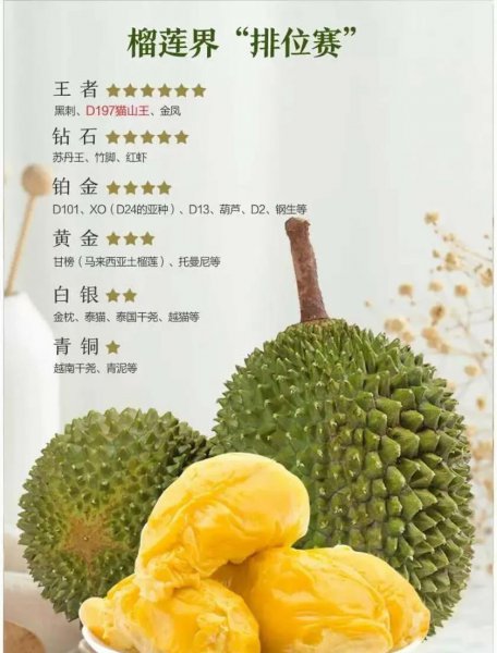 吃榴莲的季节是几月份