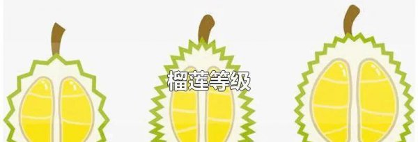 吃榴莲的季节是几月份