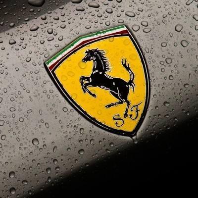 车标是奔跑的马是什么牌子的车