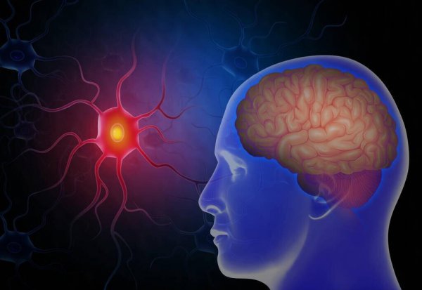 天天做噩梦是什么原因引起的