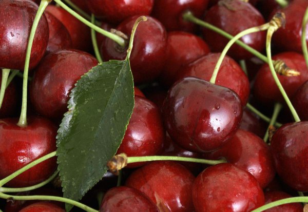 车厘子发苦怎么回事