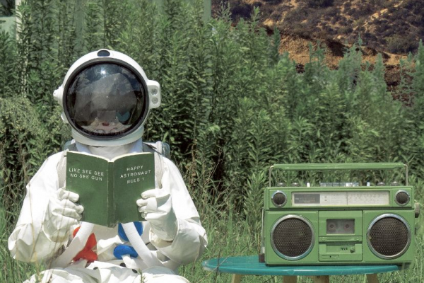 盛产美女的金星星座